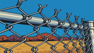 تولیدی فنس در مراغه