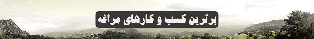 کسب و کارهای مراغه