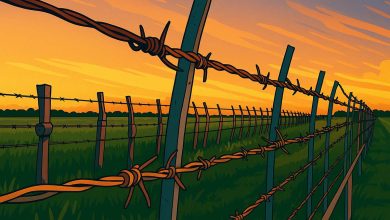 قیمت سیم خاردار باغی