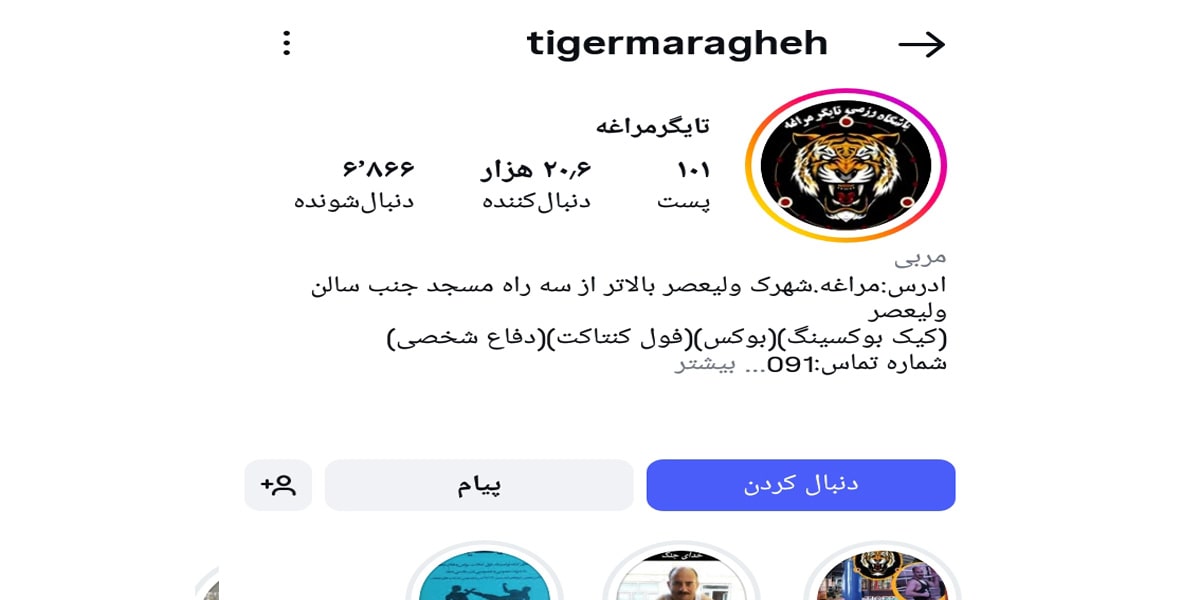 تایگر مراغه